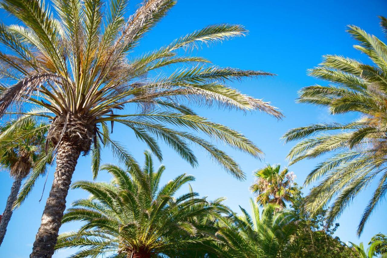 Apartmán El Jasmine Corralejo Exteriér fotografie